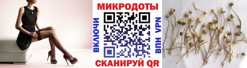 Галлюциногенные грибы мицелий Пенза